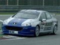 Jens Edman. WTCC Monza 2006 (© WTCC Media)
