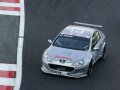 Soheil Ayari. WTCC SPA 2005 (© WTCC Media)