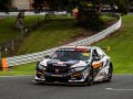 Matt Neal, Oulton Park, BTCC 2020 (© Jakob Ebrey)