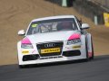 Dave Pinkney, Brands Hatch BTCC 2011 (© Nigel Clark)
